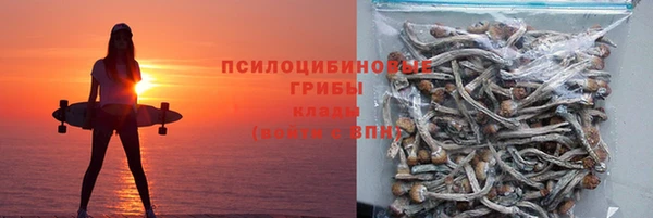 винт Алзамай