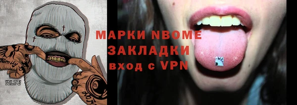 хмурый Алексин