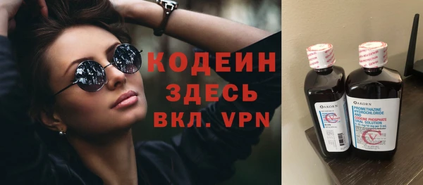 хмурый Алексин