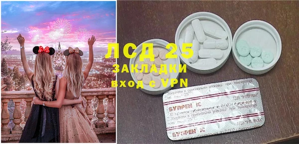 хмурый Алексин