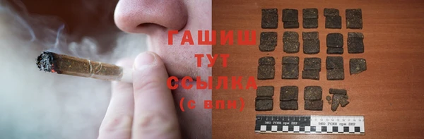 хмурый Алексин