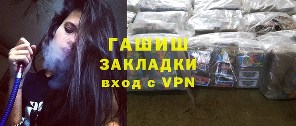 хмурый Алексин